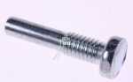 Pin For Door Hinge - C00311311 - 481953598188 [Whirlpool Indesit]