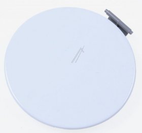 Haier Flap - 0020810737d 49056163 Filter Door