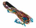 Harness - 1015992 Wiring Harness [Amica]