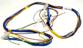 Brandt Harness - Circuitry
