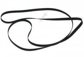 Dual Flat Belt - Flat Belt
