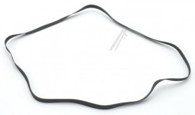 Dual Flat Belt - Flat Belt
